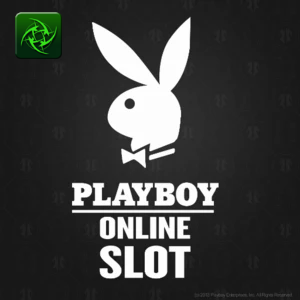 Playboy_1188_en